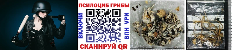 купить  сайты  Глазов  Псилоцибиновые грибы MAGIC MUSHROOMS 